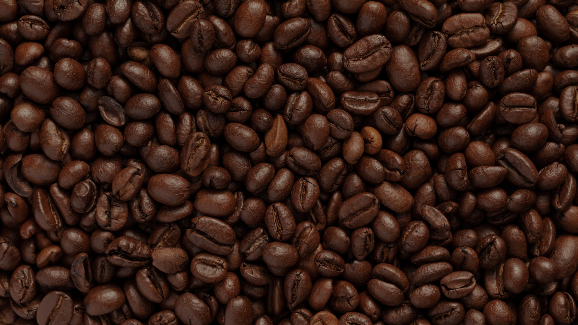 Xícara de café artesanal da Cafeteria Brisa